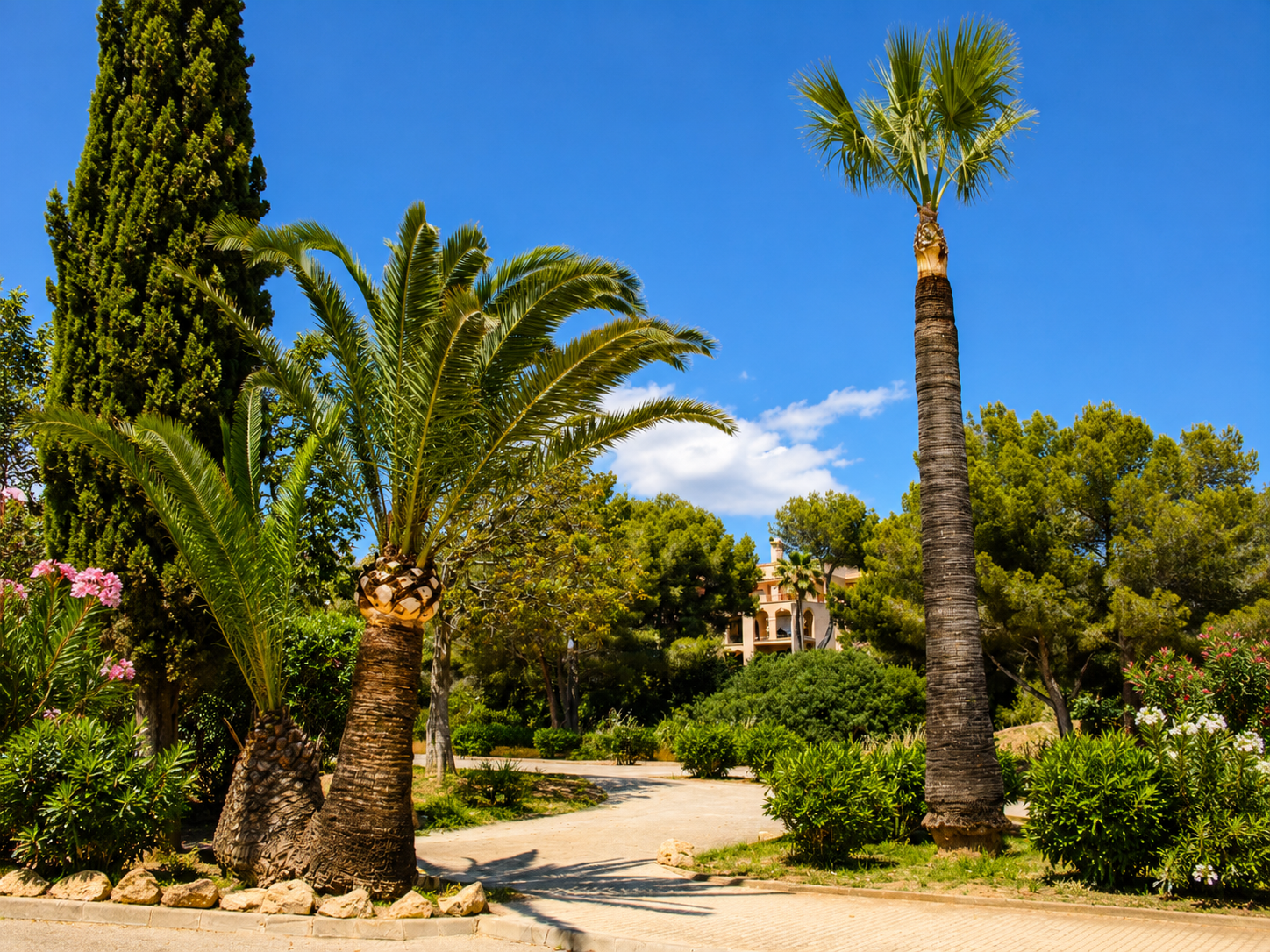 Palmeras jardín mediterráneo Mallorca